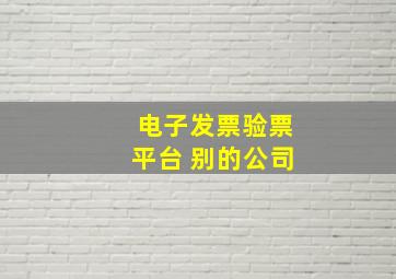 电子发票验票平台 别的公司